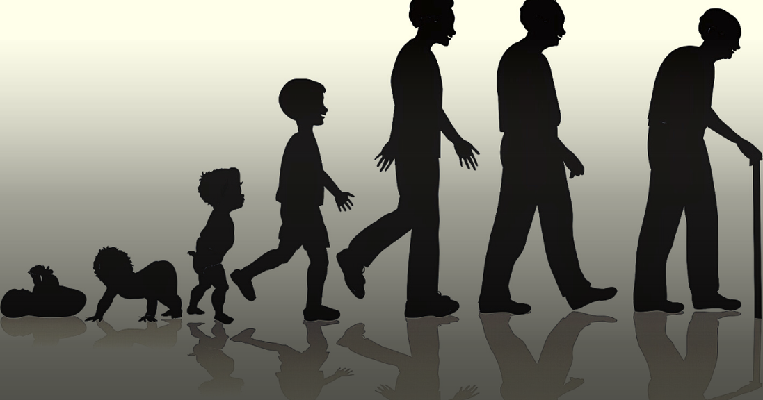 
                                        The progression of the average pickleball player is much like the life cycle of any human: full of hubris.
                                    