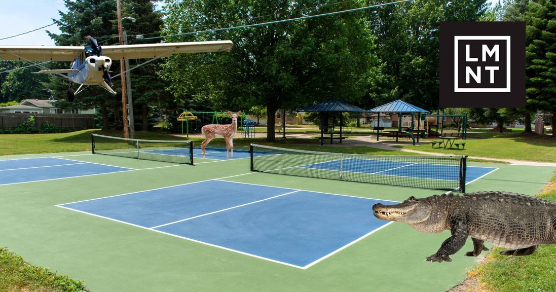 
                                        Unusual true stories from the pickleball court.
                                    