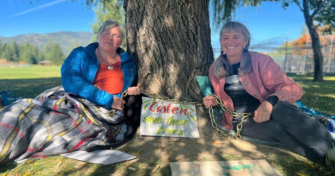 
                                        Pickleball protestors sit by a tree which they do not want to be cut down for the sake of new sports facility.
                                    