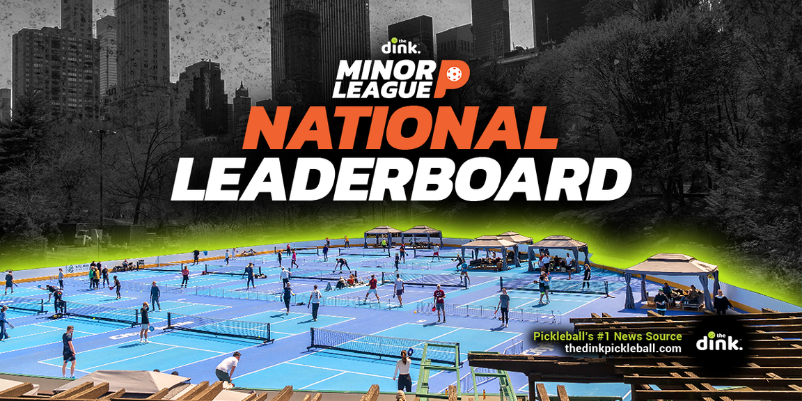 
                                        The Dink Minor League Pickleball, Pickleball
                                    
