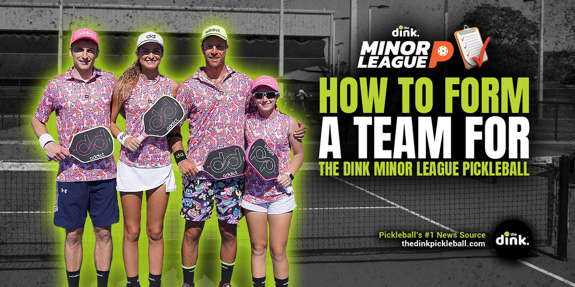 
                                        The Dink Minor League Pickleball
                                    