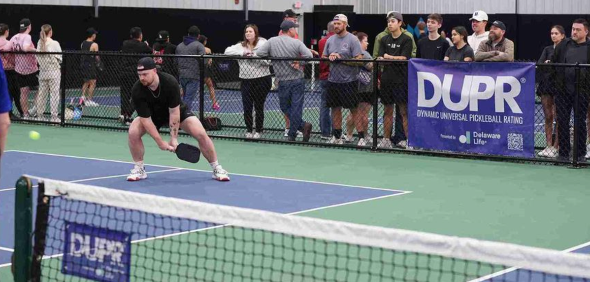 
                                        Erne Pickleball: Setup, Jump & Legal Landing Explained
                                    