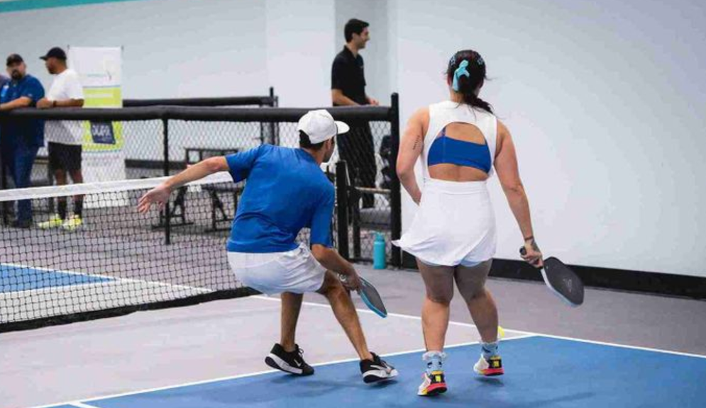 
                                        What Is a Fault in Pickleball? Every Type Explained
                                    