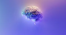 Playing Pickleball 'Rehabilitates Your Brain'