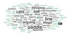 Pickleball Players Say: Rule Book Should Punish These  Violations