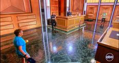 Pickleball Finds Its Way Into Judge Steve Harvey's Courtroom Yet Again