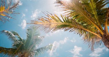 Best Places to Play Pickleball in Naples, Florida: Courts, Times, Everything You Need to Know