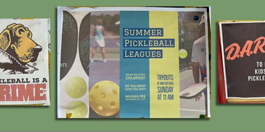 Newsletter: Anti-pickle propaganda in DC