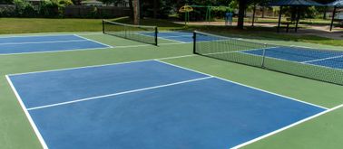 "Net Bandit" Terrorizes Pickleball Courts in New York