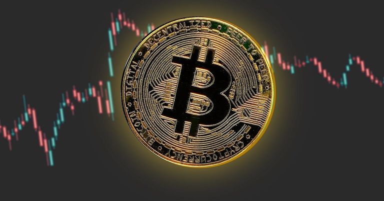 Pickleball Has A Lot in Common with Bitcoin