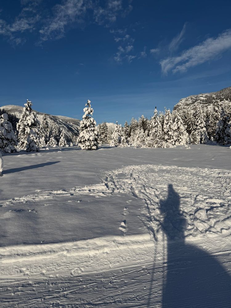 Sounds of the Rolling Huts
