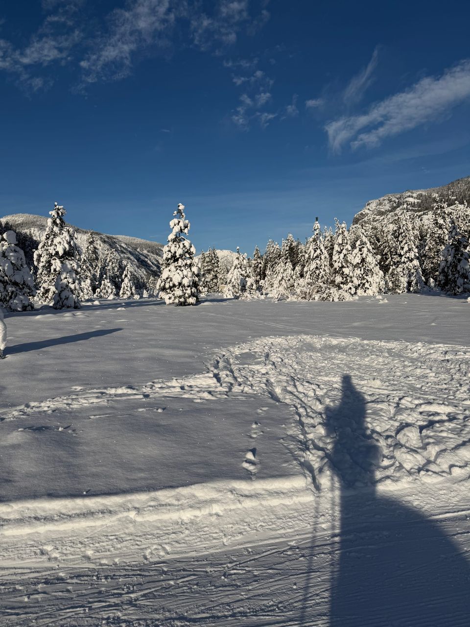 Sounds of the Rolling Huts