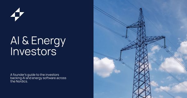 AI & Energy Software Investors in the Nordics: A Founder's Guide
