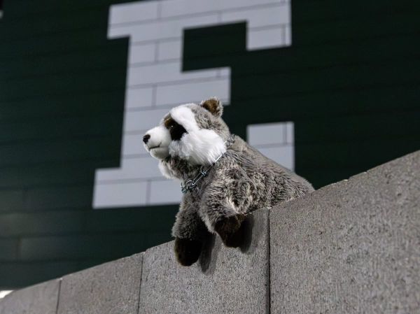 How Chris Creighton, Eastern Michigan fell in love with the Maccoon