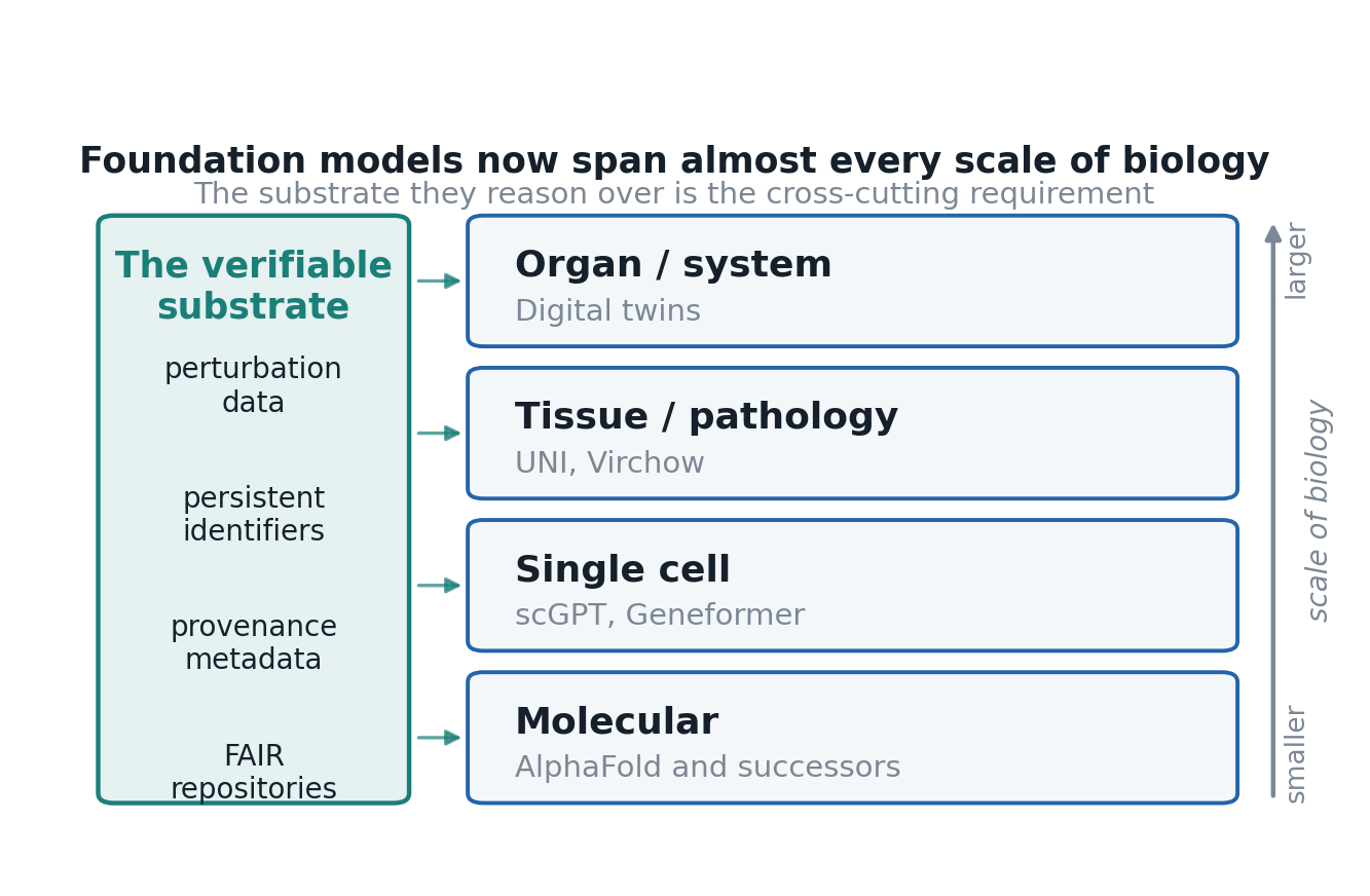scales_of_biology.png scales_of_biology.png