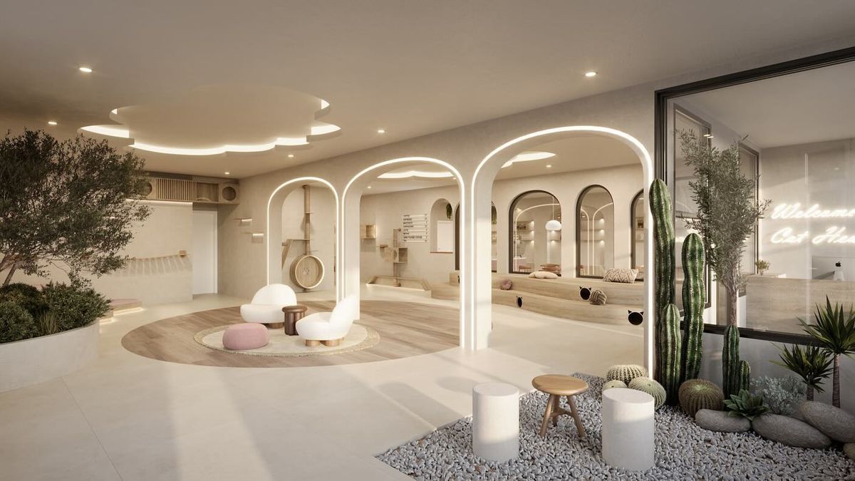 Nine Lives Cafe Debuting in West Palm Beach