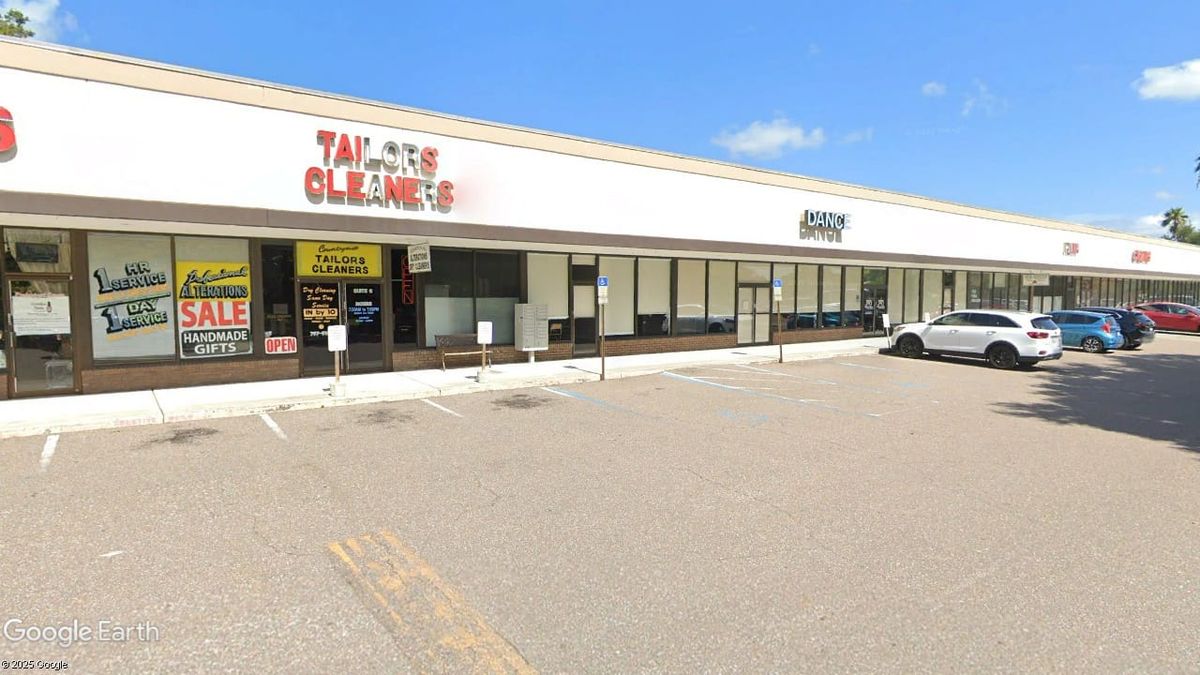 Purring Cats Cafe Bringing Feline Friendly Hangout to Clearwater