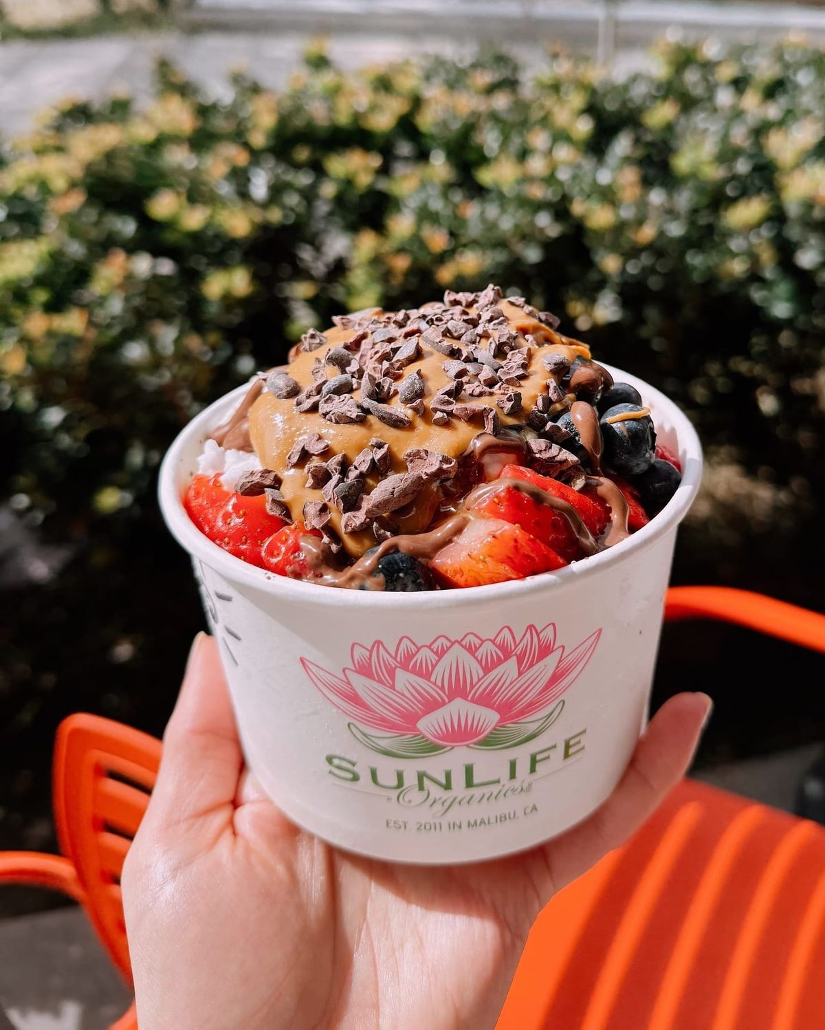 Organic Smoothies and Açaí Bowls Coming to West Palm Beach