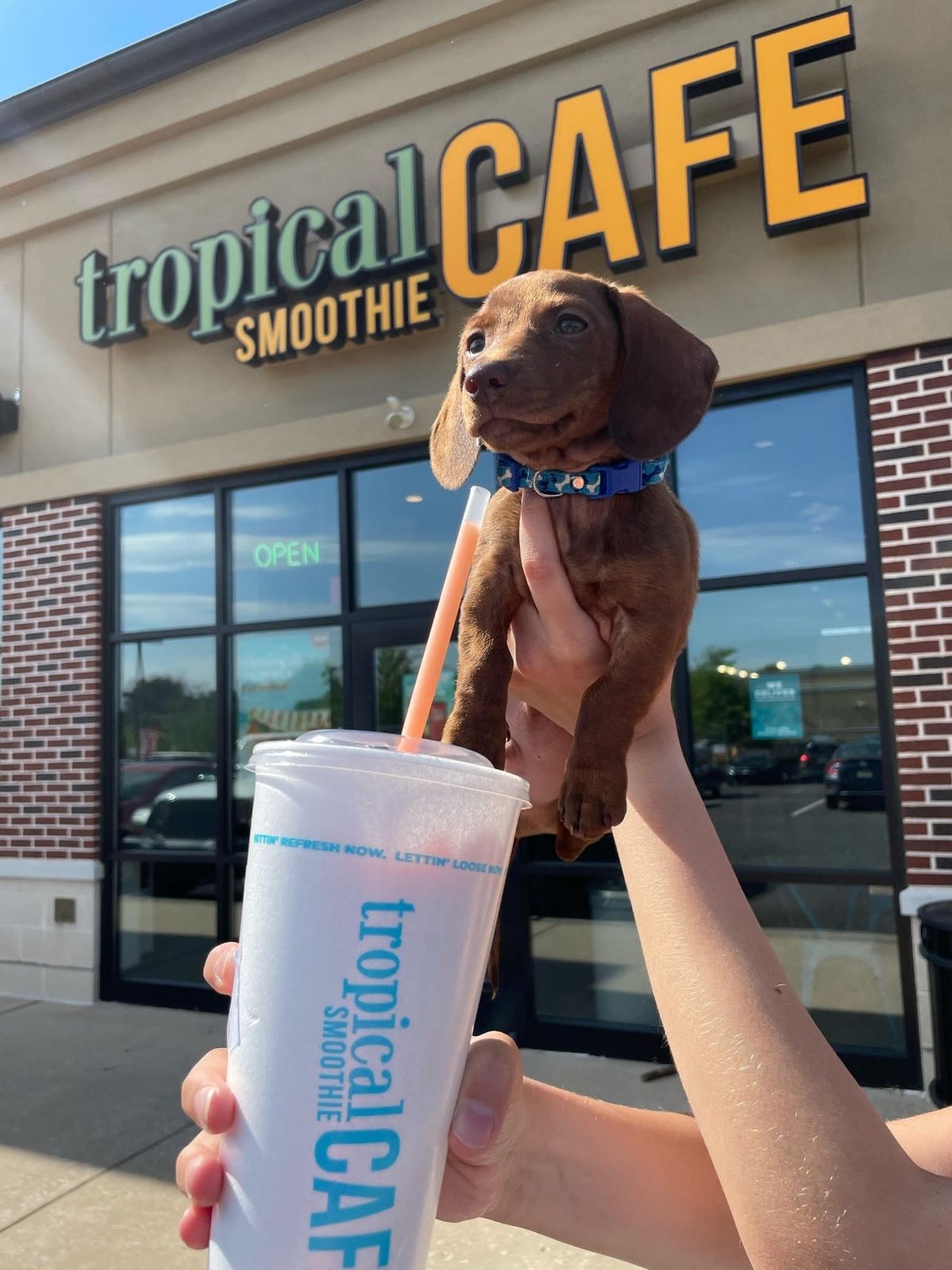 Tropical Smoothie Cafe Opening in Doral This August