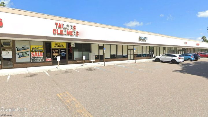 Purring Cats Cafe Bringing Feline Friendly Hangout to Clearwater