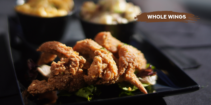 Fin & Feathers Opening in Albany