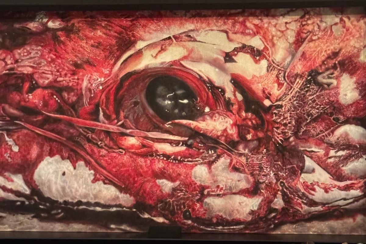 Carmen at Deutsche Oper Berlin