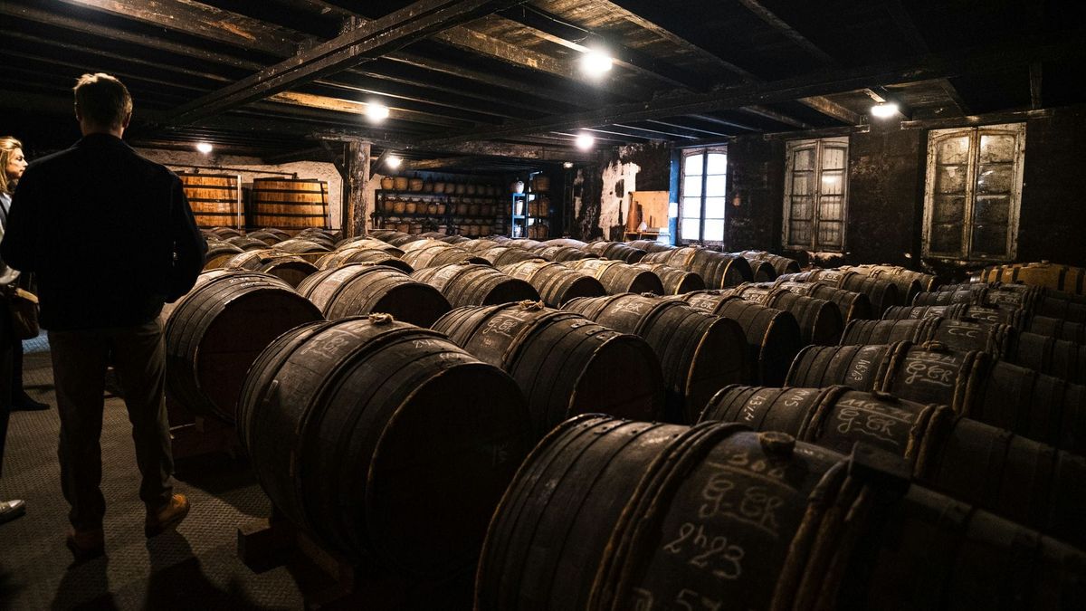 Forte, Intenso e Encorpado