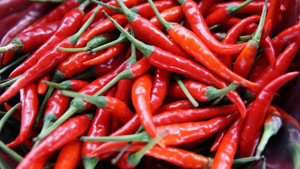 Perguntas para Apimentar sua Relação