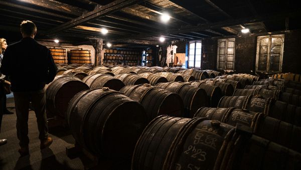 Forte, Intenso e Encorpado