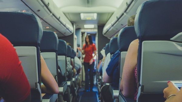 A Comissária Curiosa