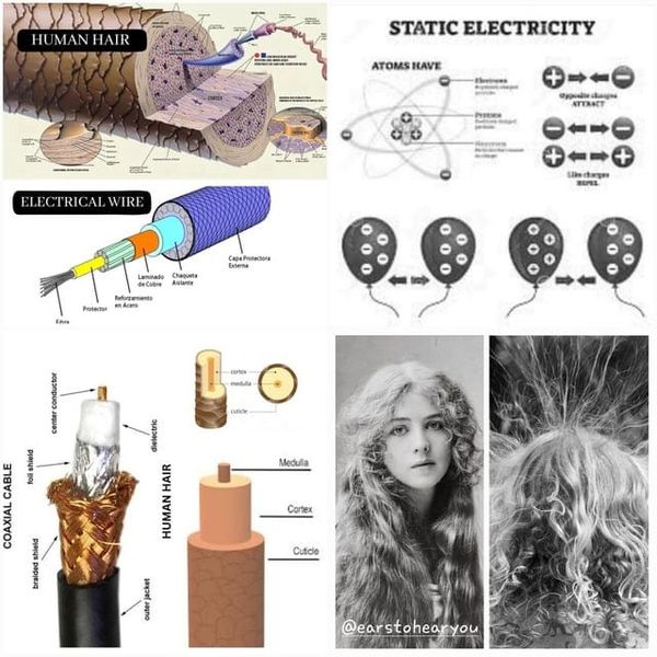 THE TECHNOLOGY OF HAIR