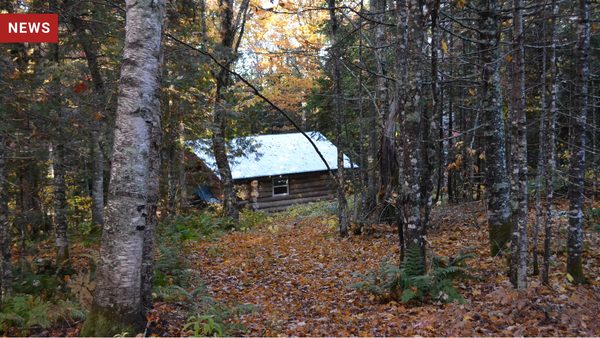 SEO Not Dead, Found Hiding in Montana Wilderness