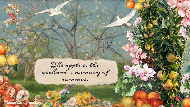 A garden collage showing trees in bloom, fuits and blossoms in an orchard. 