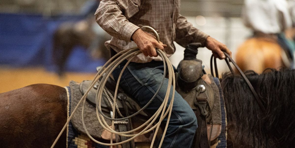 Free pre-fair horse shows return to the State Fair of Texas