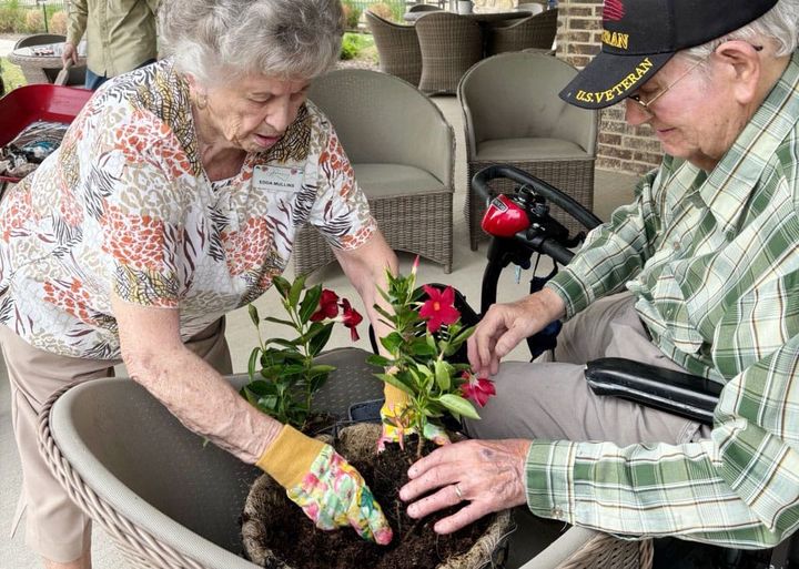 Two people repot some flowers.