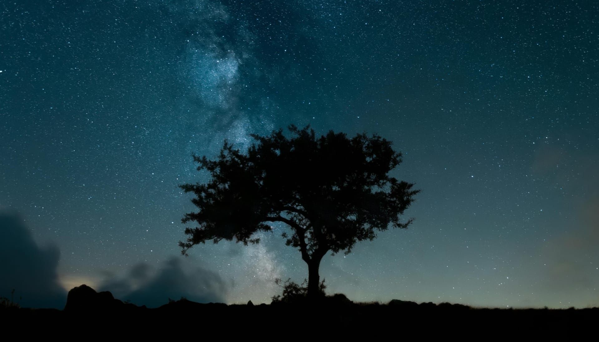 Silhouette of Tree Under Starry Sky - Photo by Fatih Doğrul