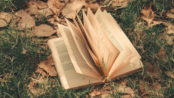 A Book on the Grass - Photo by Samar Mourya