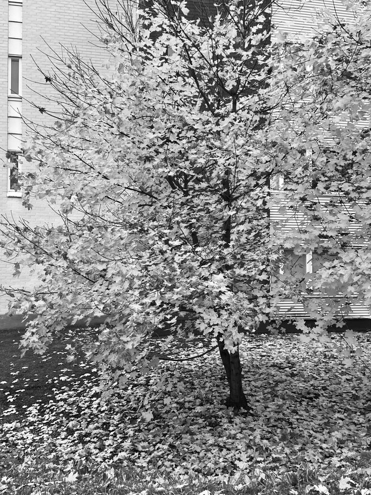 I refuse to "just" do it 2