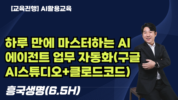 [교육진행] 하루 만에 마스터하는 AI 에이전트 업무 자동화(구글AI스튜디오+클로드코드)_흥국생명(6.5H)