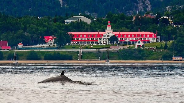 🏨 Hôtel mythique à Tadoussac : 1 ou 2 nuits avec brunch inclus - jusqu’à -44 %