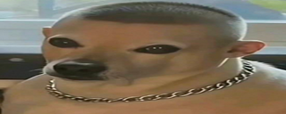 Rivers