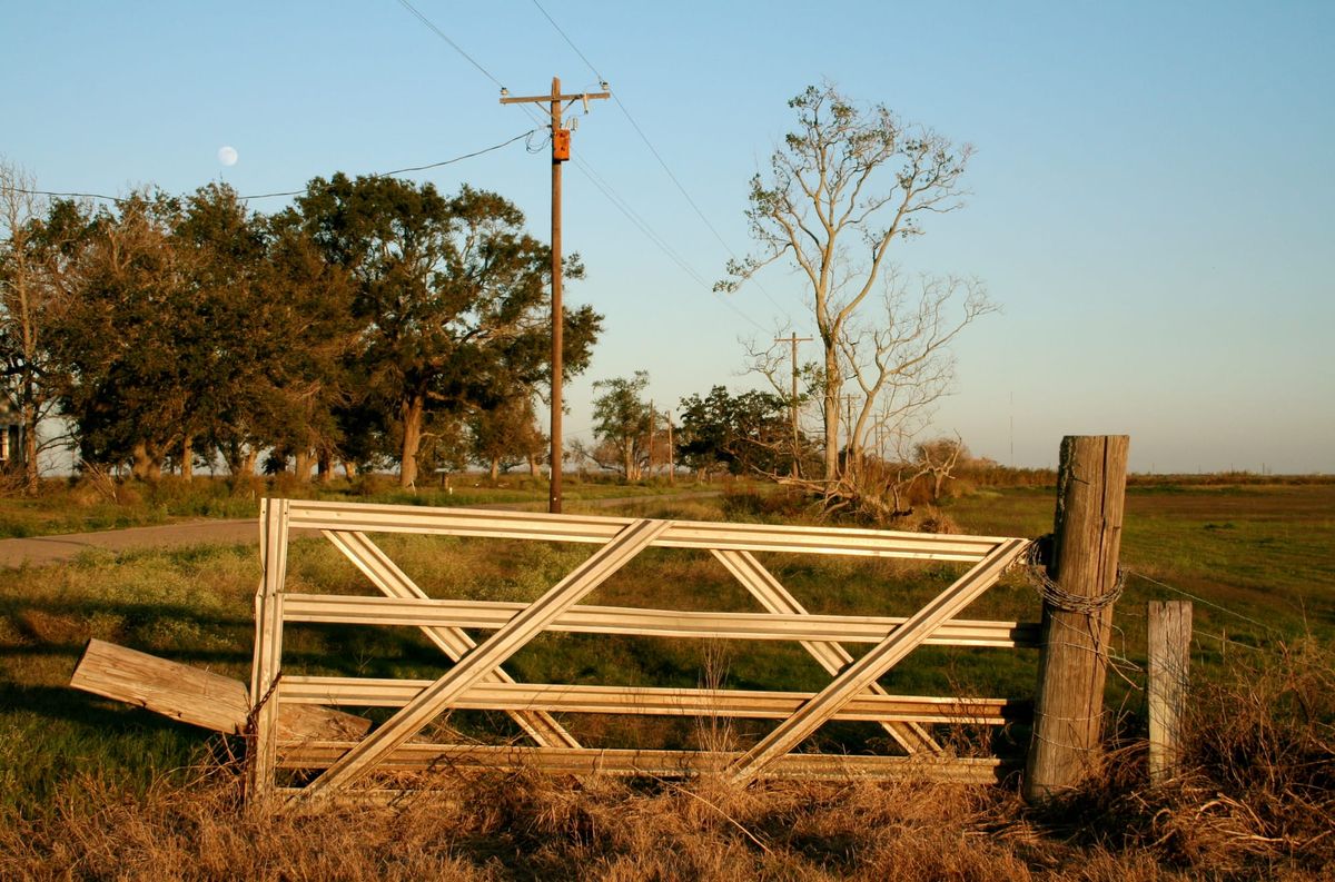 Sunlight on Fence, Pecan Island, November 2006. Photo: Matthew D. White
