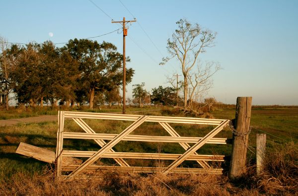 Sunlight on Fence, Pecan Island, November 2006. Photo: Matthew D. White