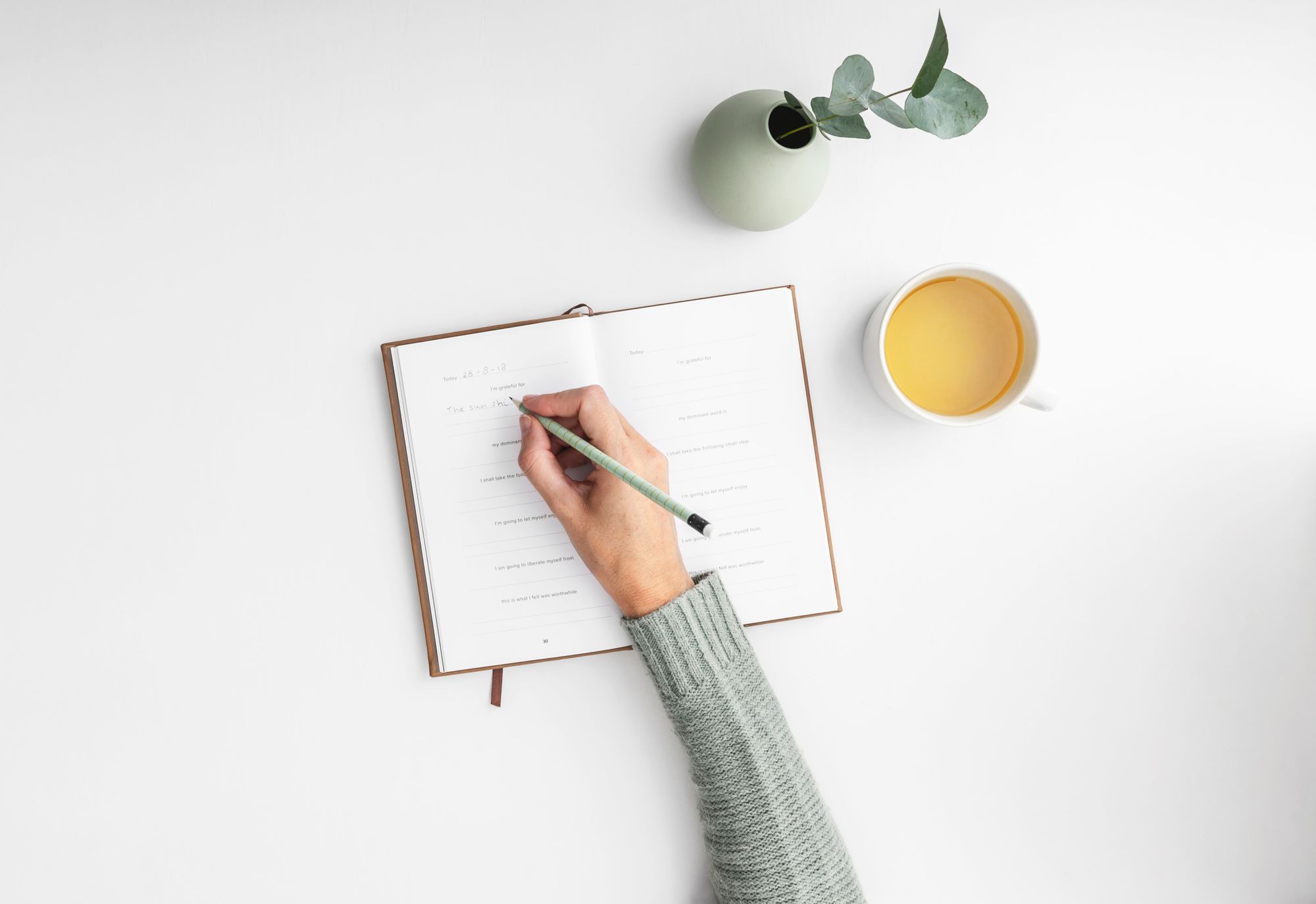 Contact tracing diary