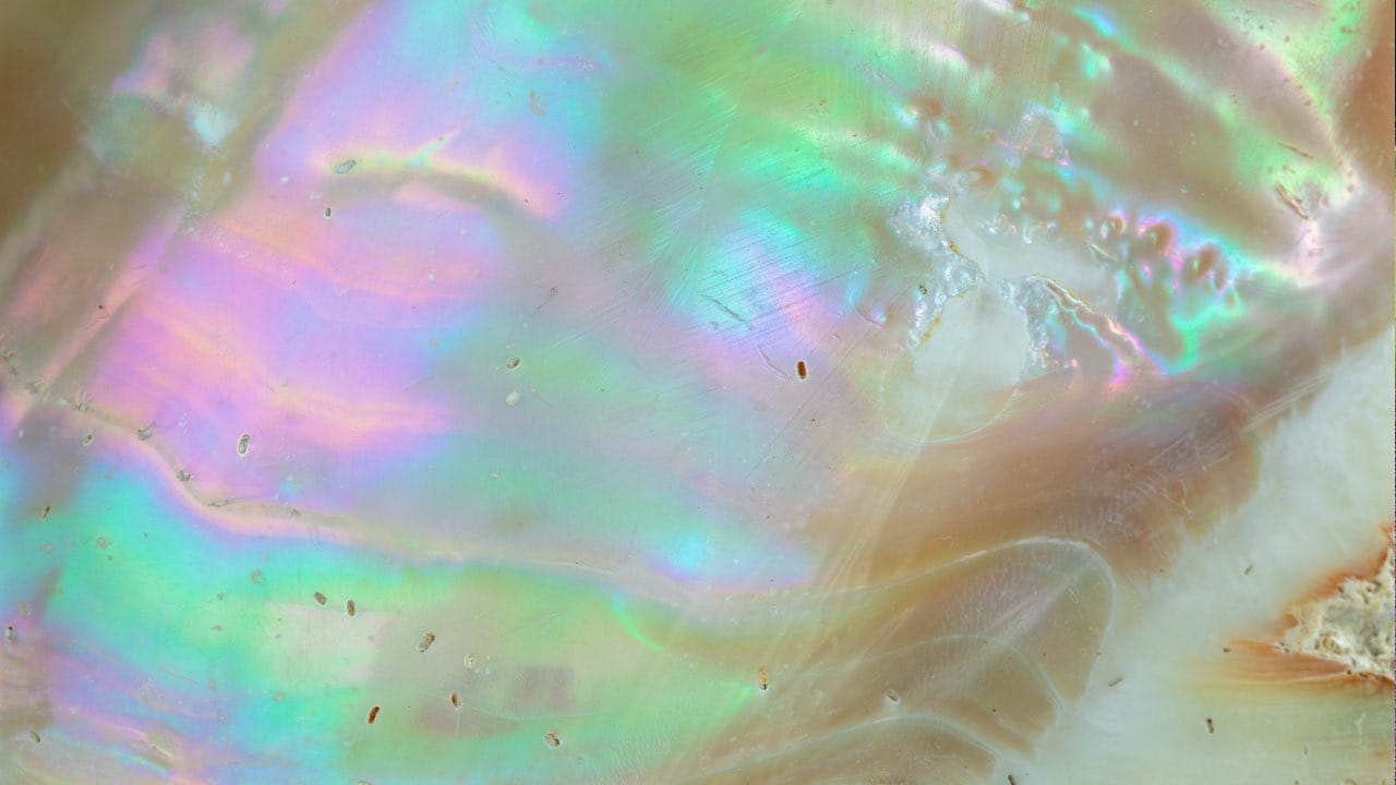 Brand work that feels like therapy.