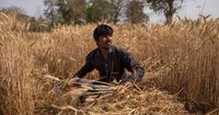 Agricultural Exports as Soft Power: India's Food Diplomacy Strategy post image