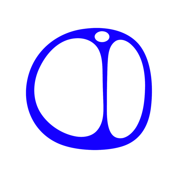 The Marrow Studio