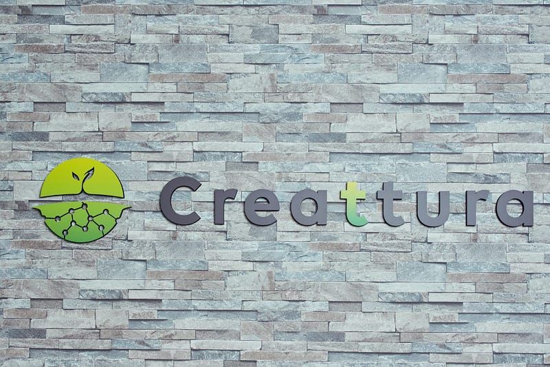 Creattura raises JPY 350m from the Development Bank of Japan and Sumitomo Mitsui Insurance