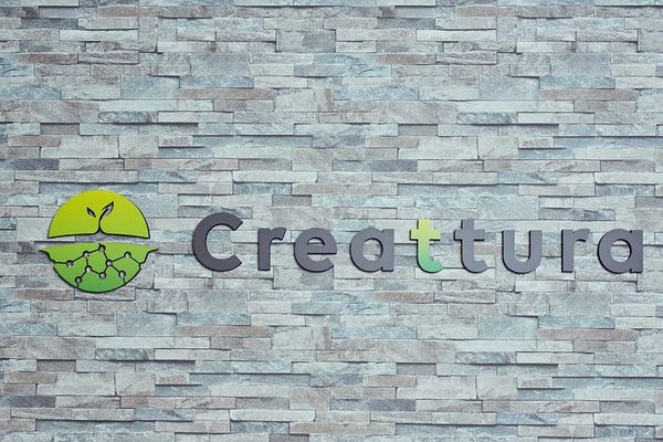 Creattura raises JPY 350m from the Development Bank of Japan and Sumitomo Mitsui Insurance