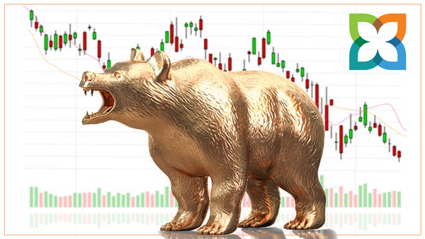 SuMi TRUST: What about those bear funds?